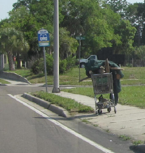 homelesscart41us5_11