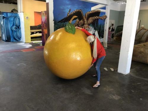 IMG 1167 (1)